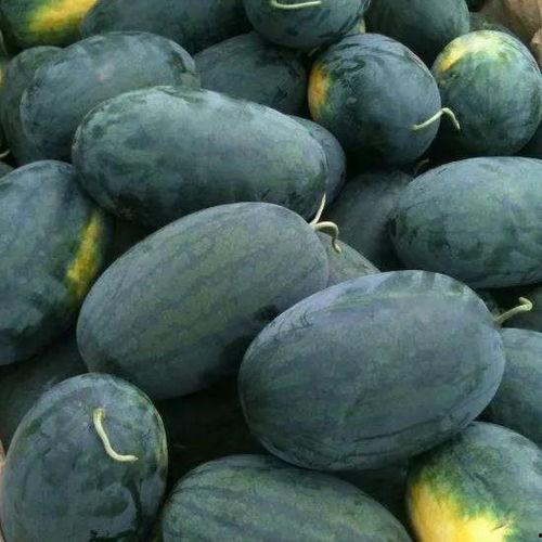 路口网吃瓜,揭秘网络吃瓜群众的狂欢盛宴